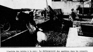 1930 pastières et conquets