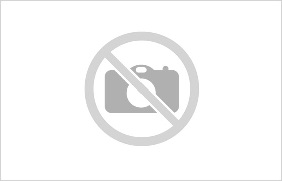 Afficher l'image d'origine